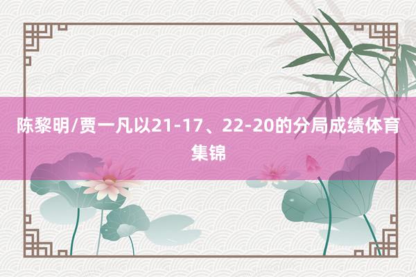 陈黎明/贾一凡以21-17、22-20的分局成绩体育集锦