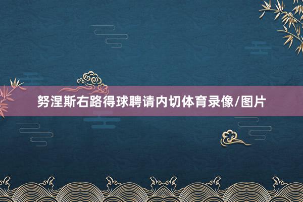 努涅斯右路得球聘请内切体育录像/图片