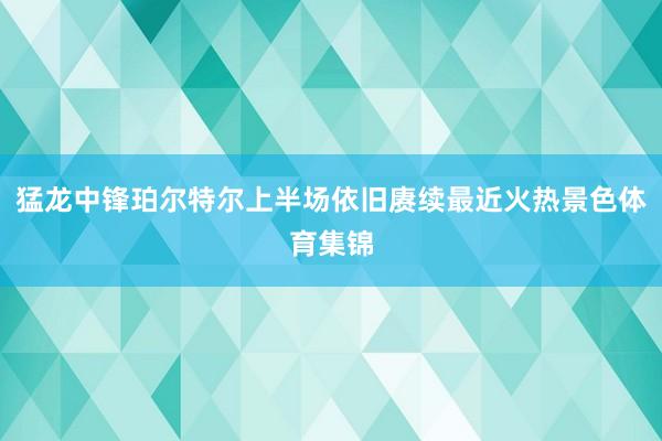 猛龙中锋珀尔特尔上半场依旧赓续最近火热景色体育集锦