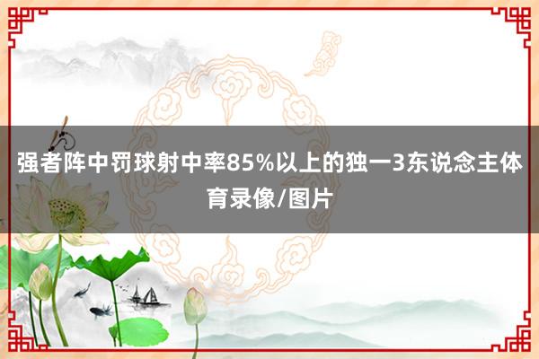 强者阵中罚球射中率85%以上的独一3东说念主体育录像/图片