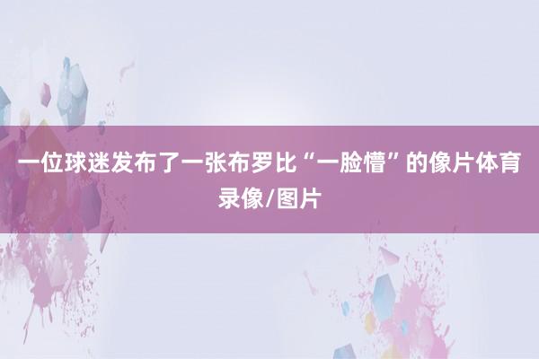 一位球迷发布了一张布罗比“一脸懵”的像片体育录像/图片