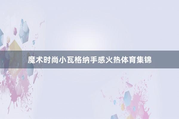 魔术时尚小瓦格纳手感火热体育集锦