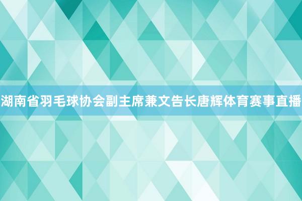 湖南省羽毛球协会副主席兼文告长唐辉体育赛事直播